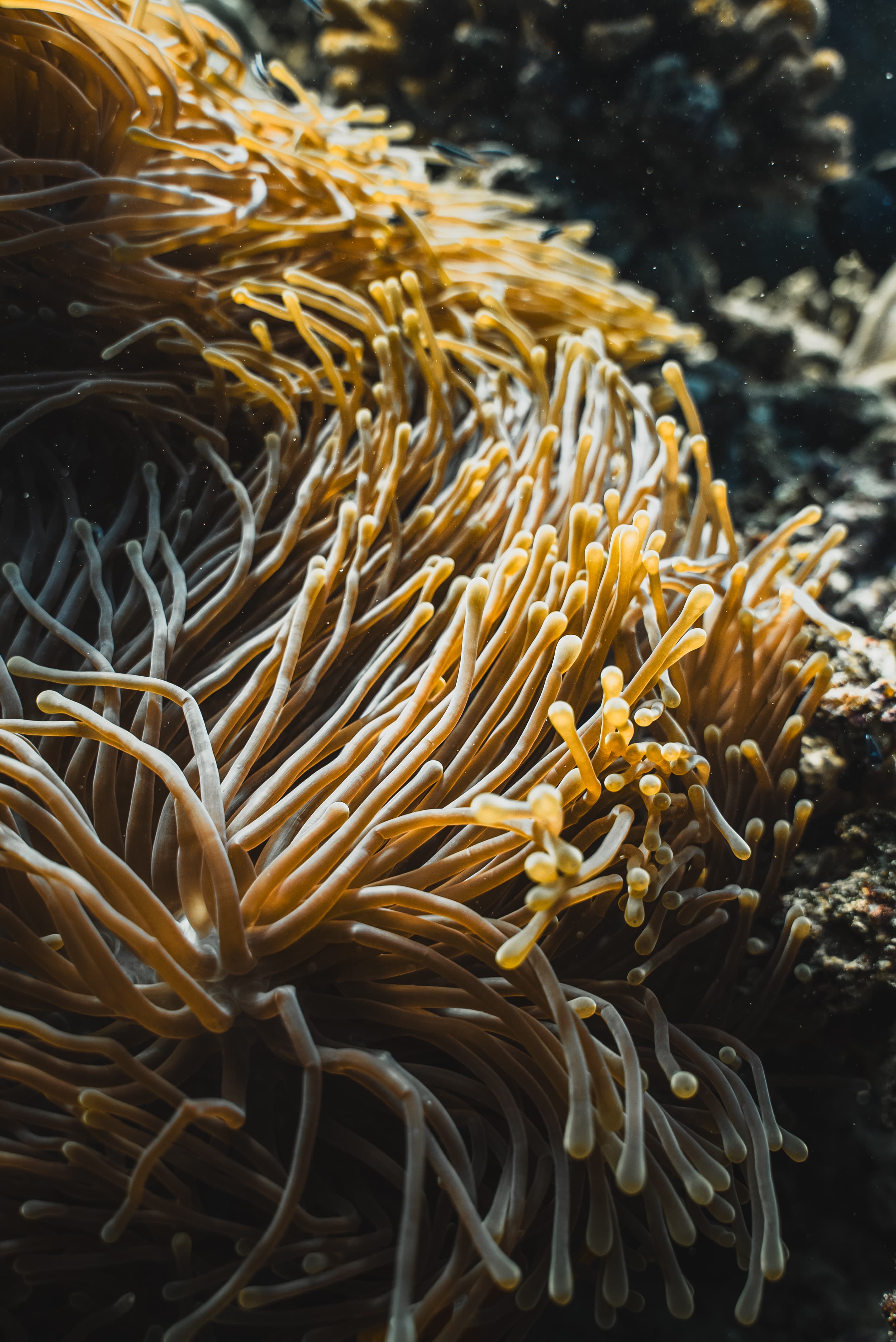Kies jouw verblijf