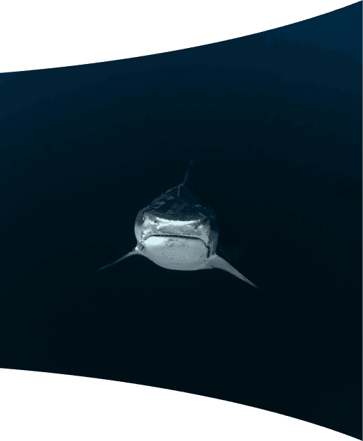 Underwater world discovery