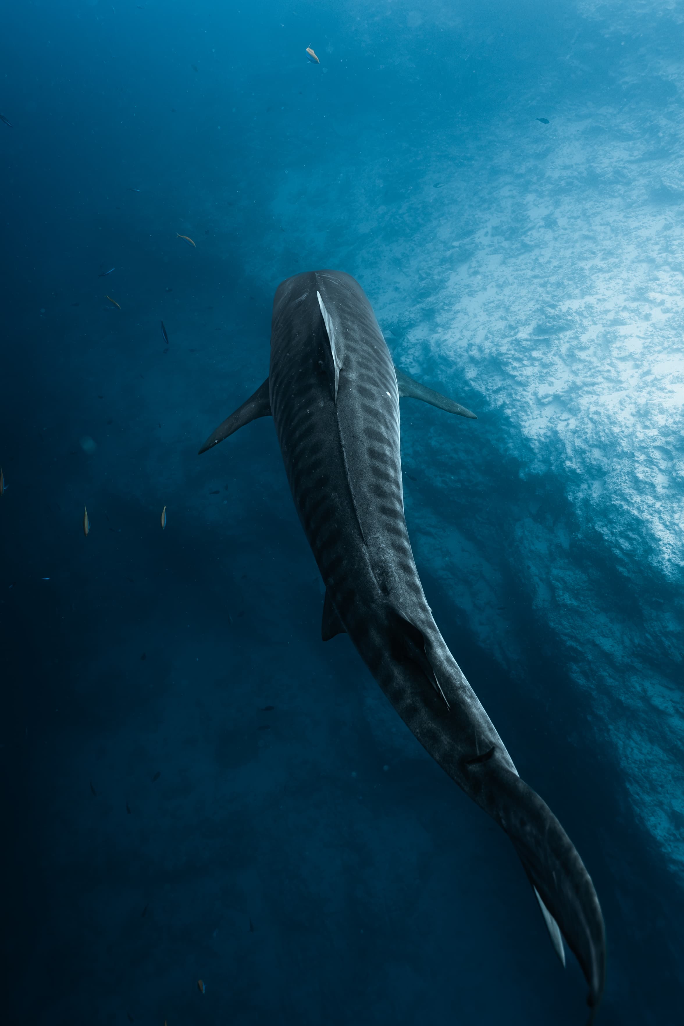 This expedition is about more than just the destination